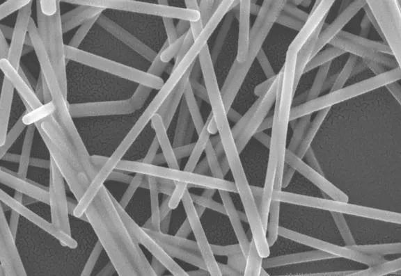 抗菌“神器”——纳米银，你真的了解吗？